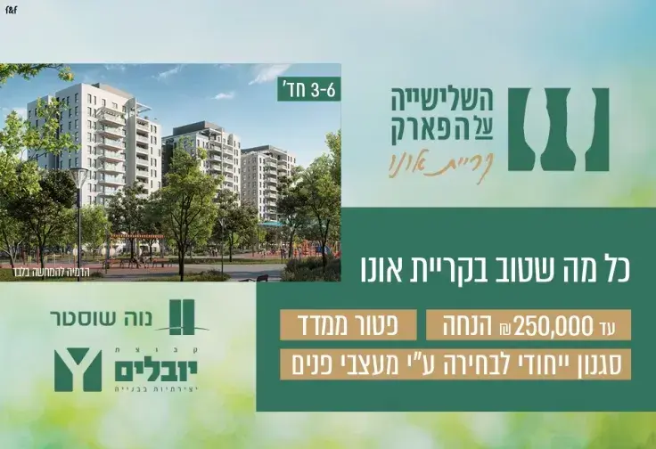 תמונה מהפרויקט